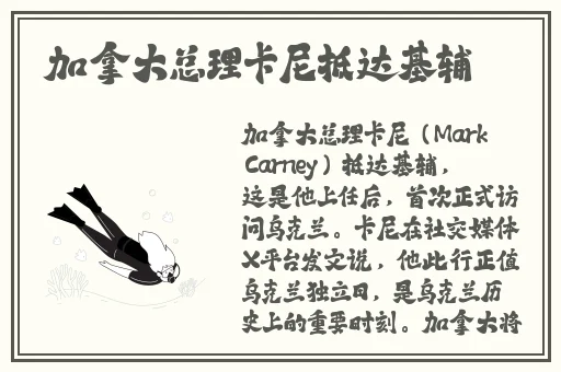 糖心下载官方入口ios
